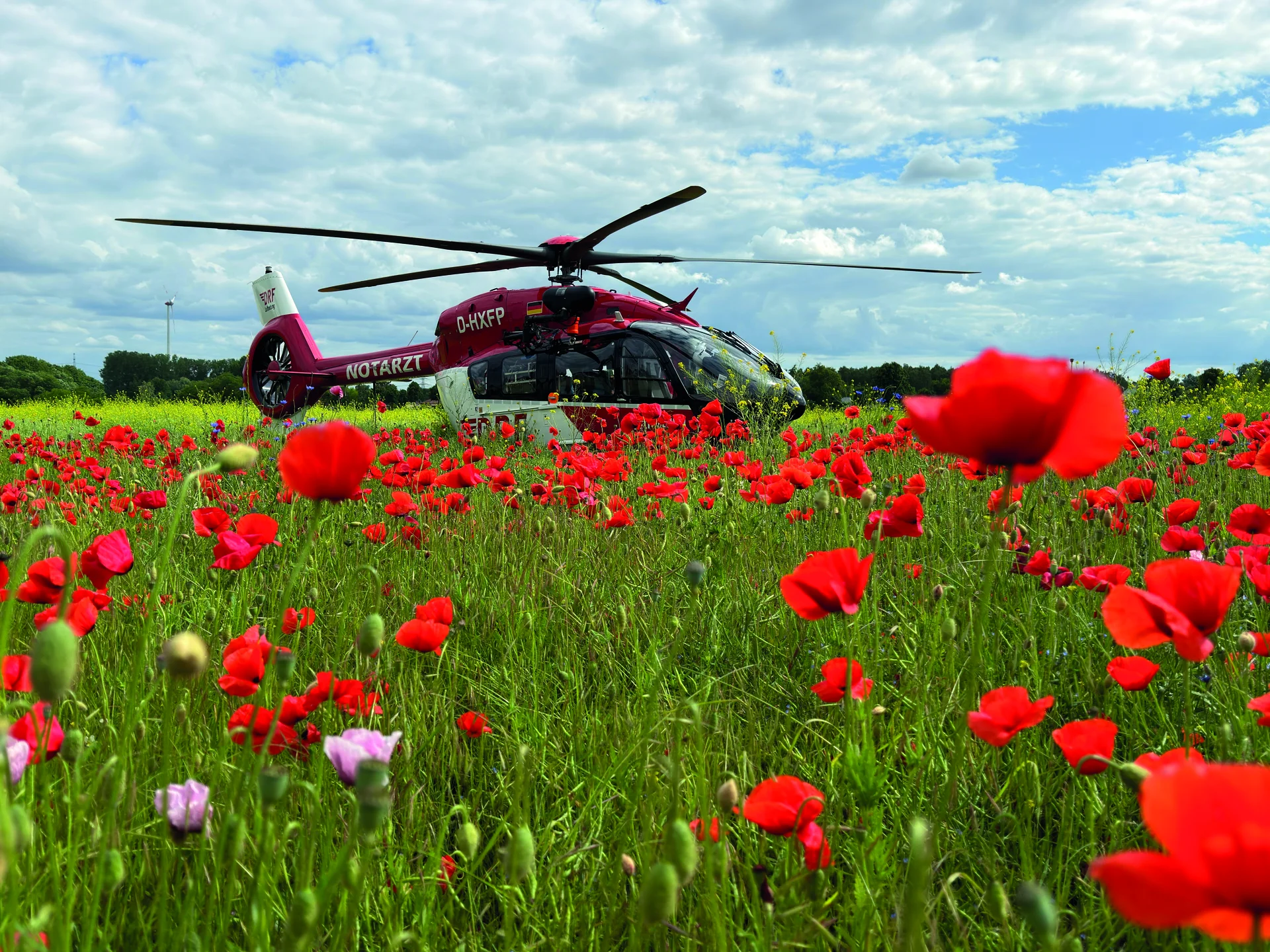 Rettungshubschrauber der DRF Luftrettung über einer blühenden Wiese mit roten Mohnblumen